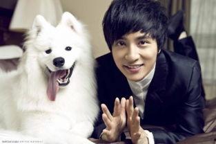 刘寓言资料,寓言大师的奇幻世界与智慧启示