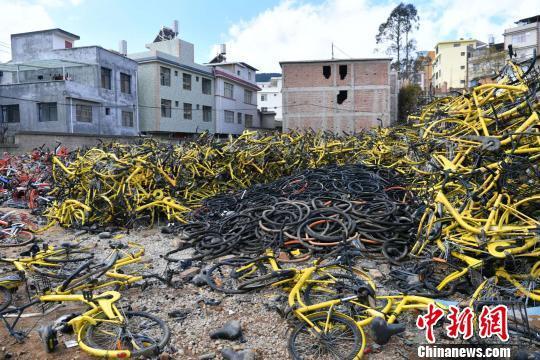 昆明坟场娱乐园,揭秘神秘娱乐场所的奇幻之旅