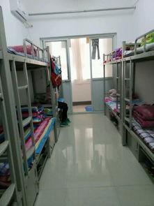 宿舍的照片,温馨小窝里的青春足迹