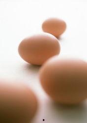 国蛋资料,揭秘我国蛋类产业的蓬勃发展