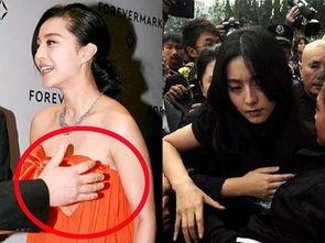 明星胸图解,图解时尚与健康的完美融合