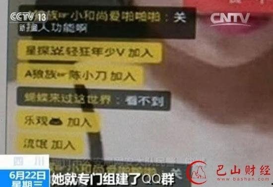 女主播31部种子,揭秘网络直播界的秘密宝藏