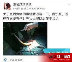 黄鳝女主播门种子,揭秘网络直播的暗流涌动